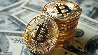 Bitcoin Investment News Today
