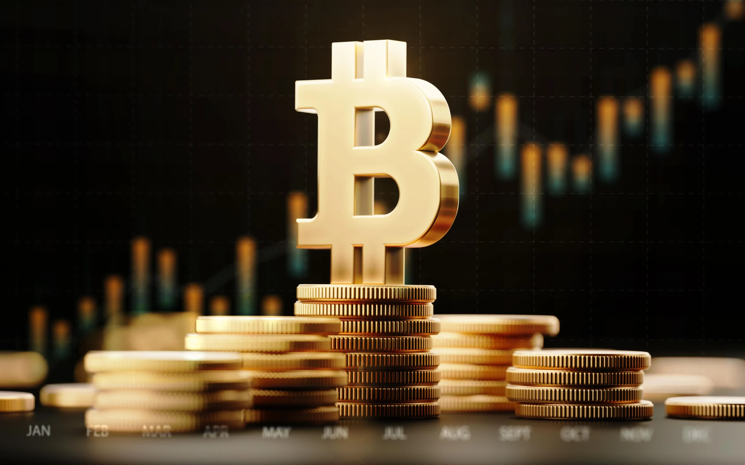 Bitcoin Investors and Businesses