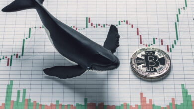 bitcoin price whale movements today
