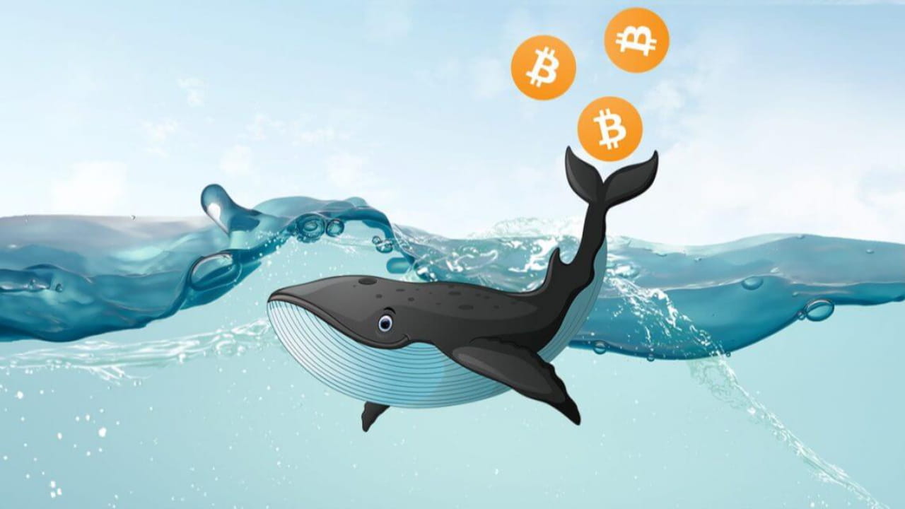 Geographic Distribution of Bitcoin Whales
