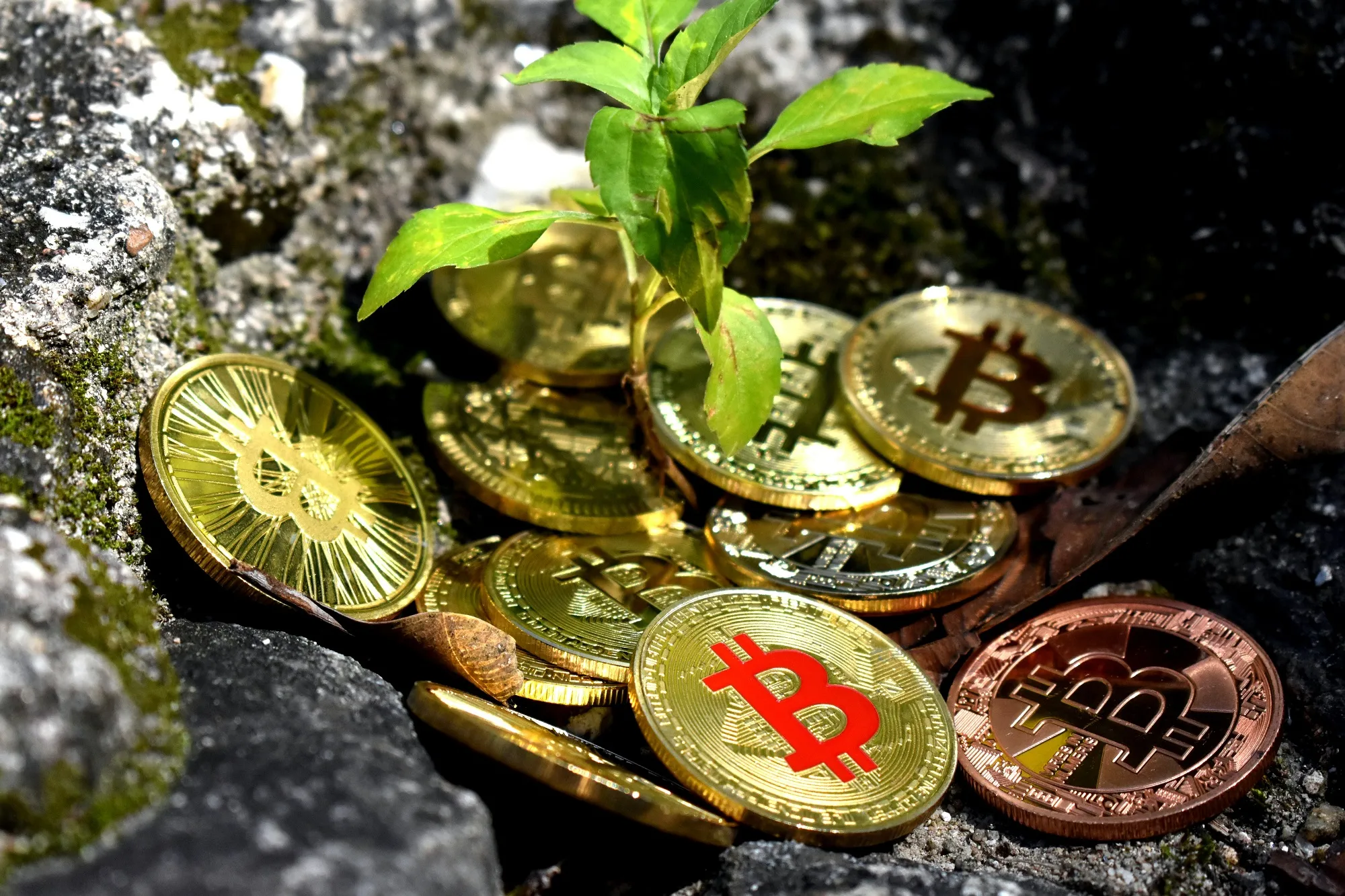Global Bitcoin Mining Regulation News