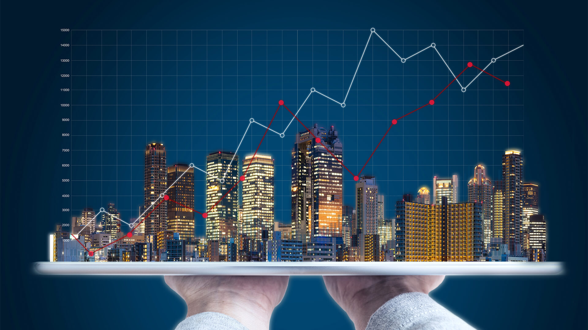Investment and Market Opportunities