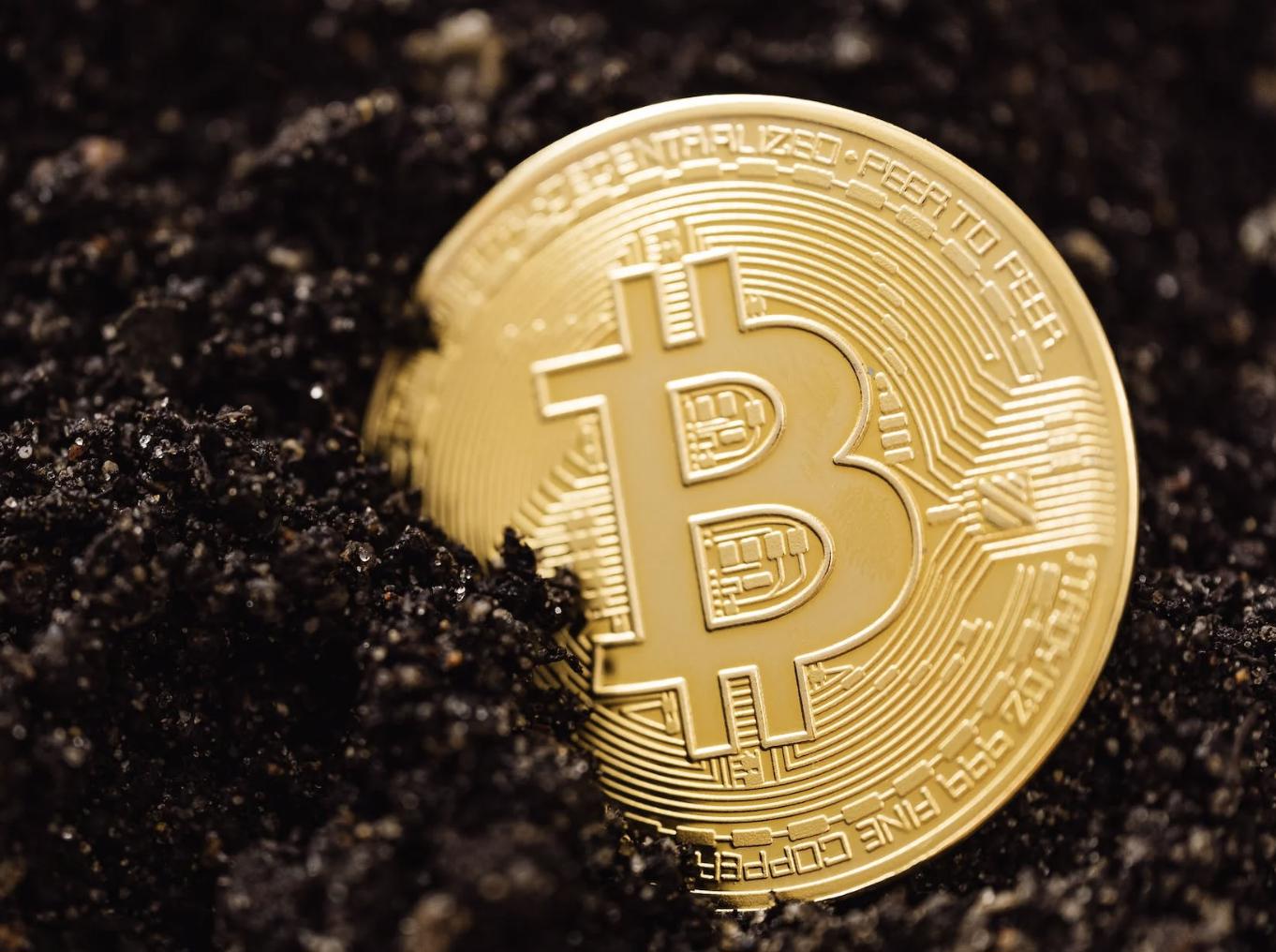 Strategies for Bitcoin Investment