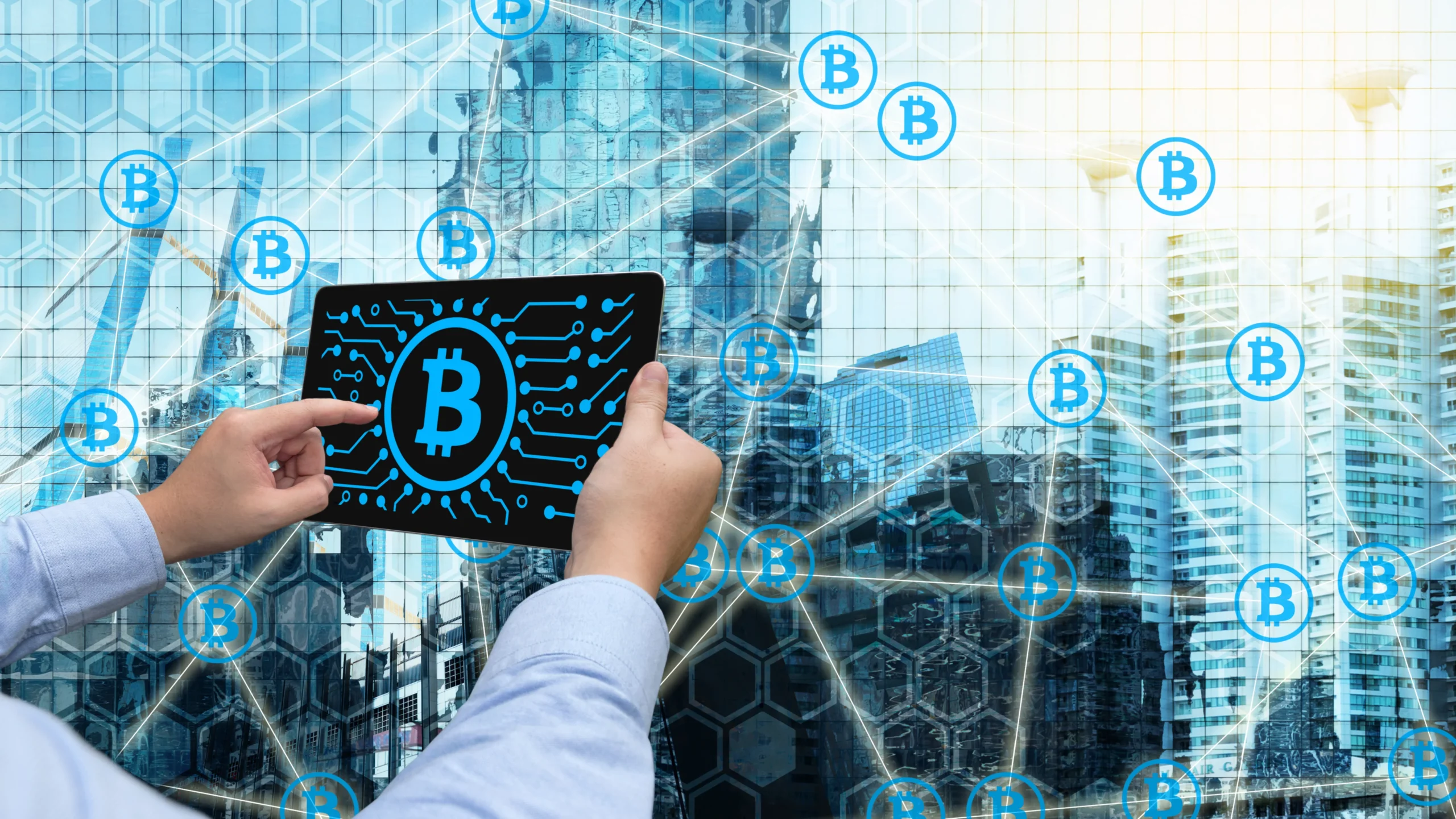 Advanced Risk Management for Bitcoin Investors