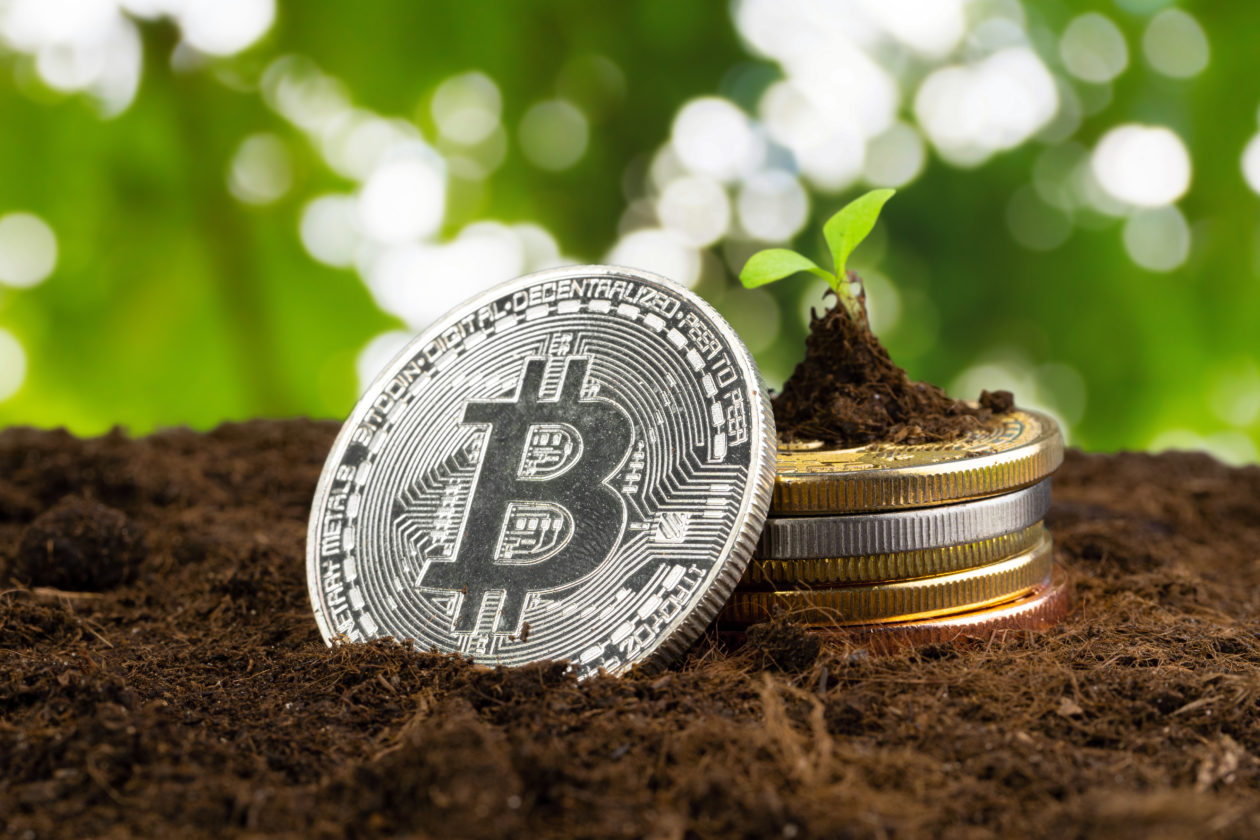 Bitcoin Newsletter for Your Needs