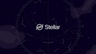 Stellar Construction jobs