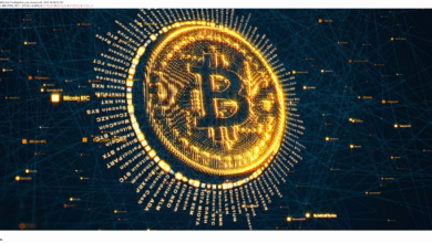 Which Feature Cannot Be Found in Bitcoin