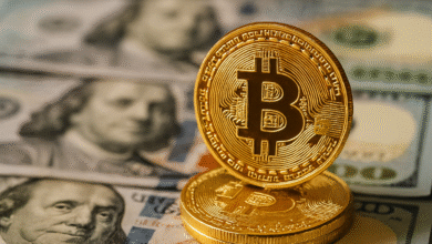 Bitcoin Price Stabilizes