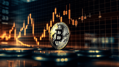 Bitcoin Trading Investment