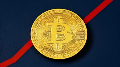 Coinbase’s 460% Surge