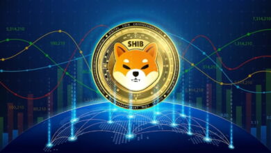 Shiba Crypto News Today