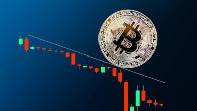 Bitcoin Price Plunges
