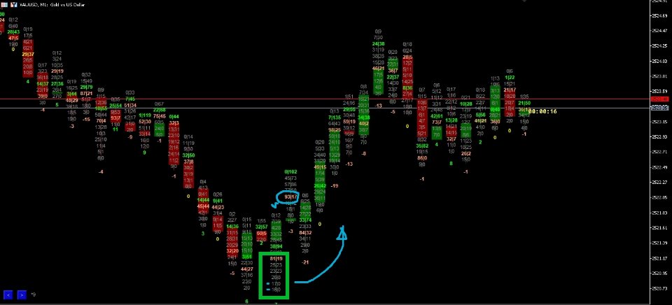 Liquidity and Order Flow Following the Footprints