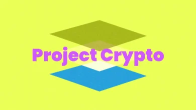 Project 0 Borrow Crypto